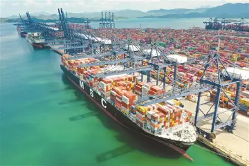 “小而精”谋全局，“秀而美”赢未来！盐田：打造中国式现代化滨海城区新范式
