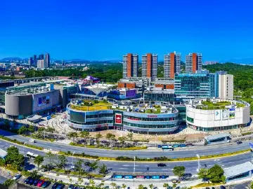 地区生产总值同比增长6.2%！龙华区上半年经济数据出炉