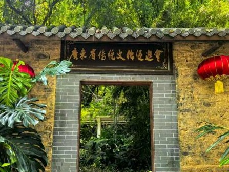 “假将军”背后的促进会：牌匾已被摘除，并被立案调查