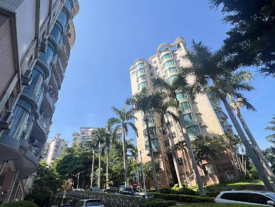深圳一小区被前任物业起诉，向全体业主追讨206万元 | 小区大件事