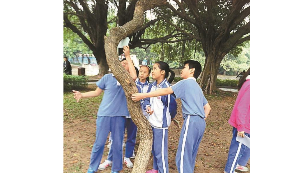 教研 | 把课堂搬到公园去