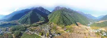 深情帮扶结硕果 携手共赢圳精彩 深圳以特区担当作为绘就乡村振兴壮美画卷
