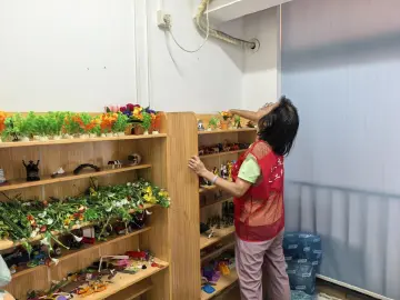 多方协作防蚊患，木头龙社区筑牢基孔肯雅热防疫线