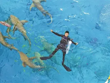 我是深二代 | 深圳市水域搜救志愿者协会会长曾智：从嬉水少年到海上安全守护者
