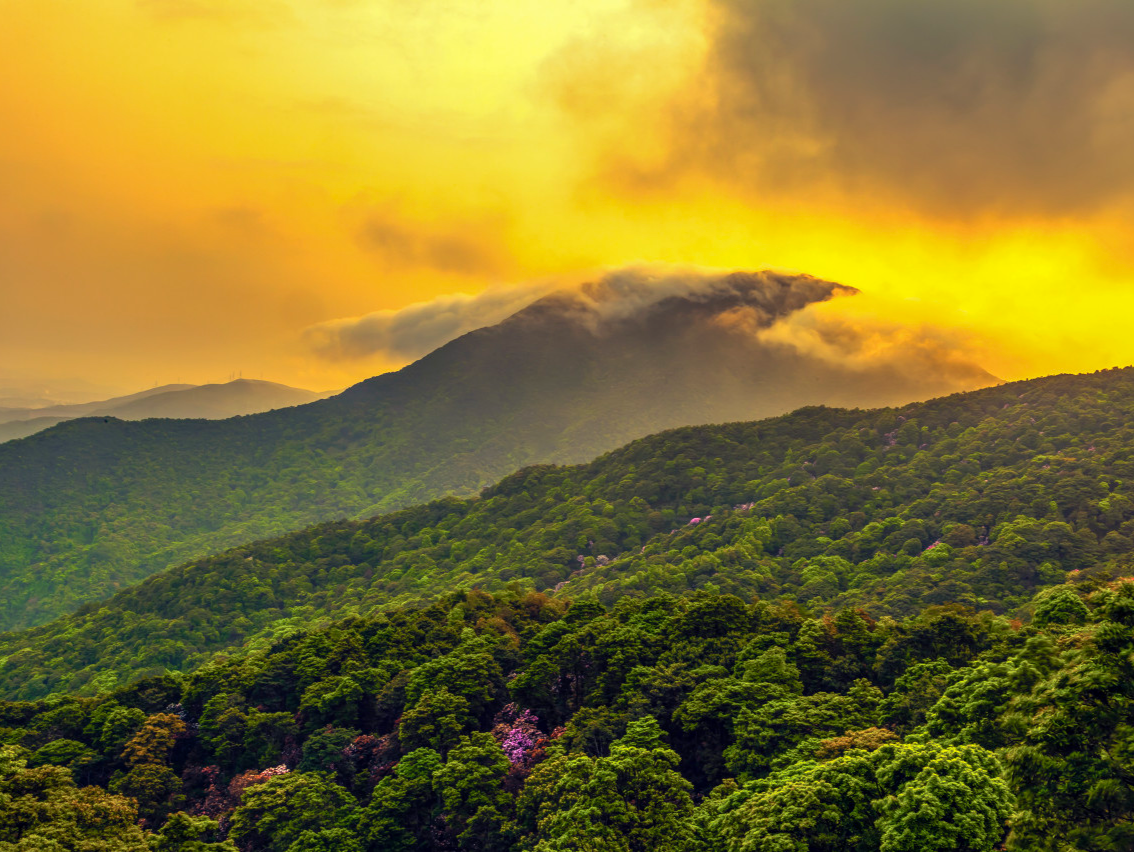 紧急提醒！梧桐山风景区闭园 