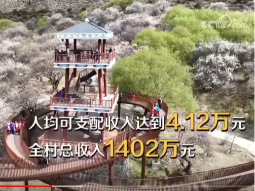 东莞援建“桃花村” 再登央视《焦点访谈》