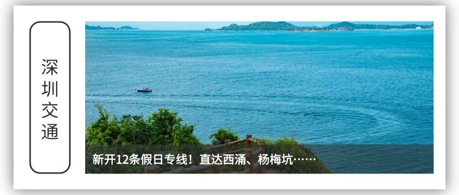 杨梅坑.png