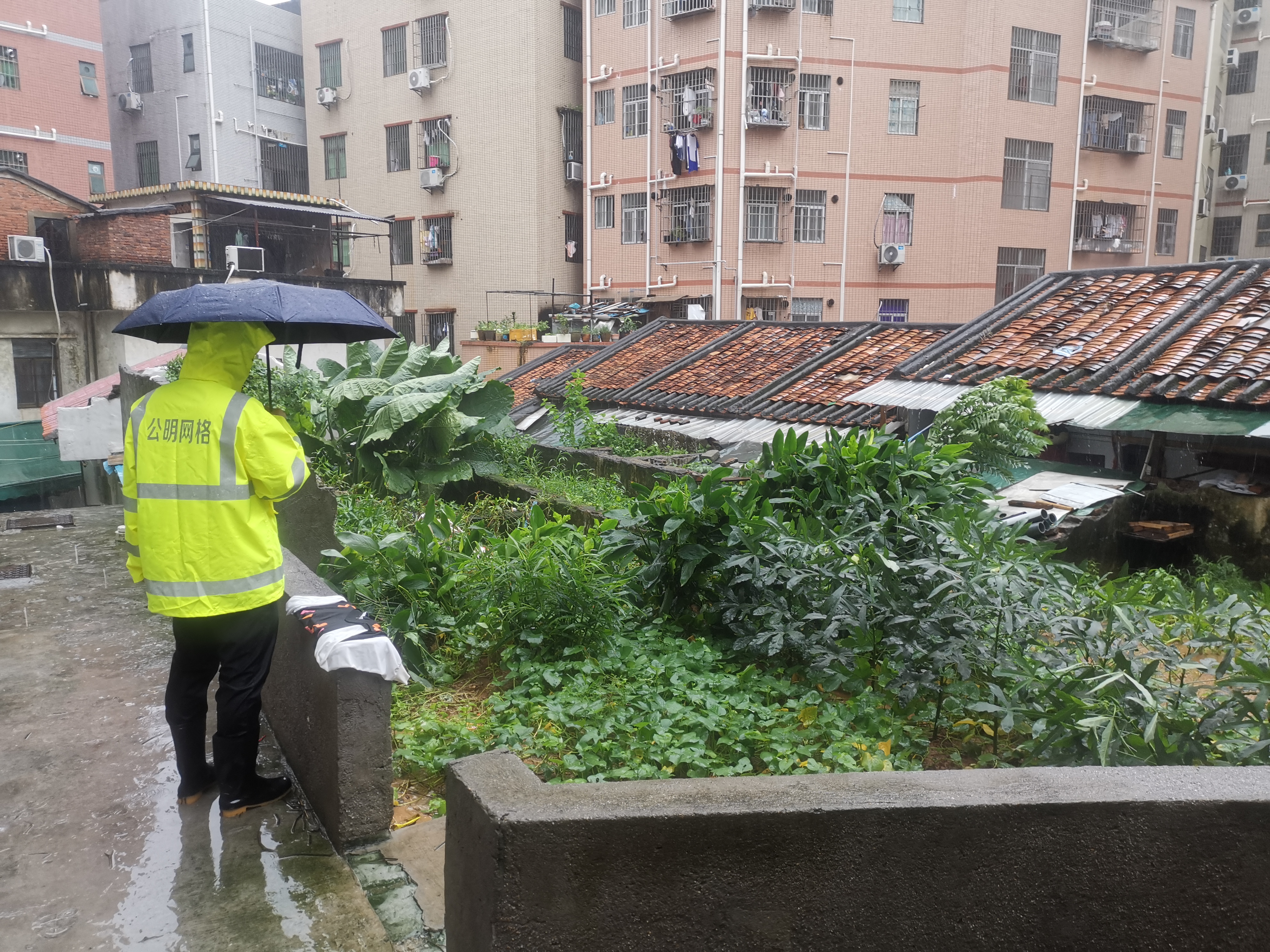 公明网格闻“汛”而动 筑牢暴雨防御安全线