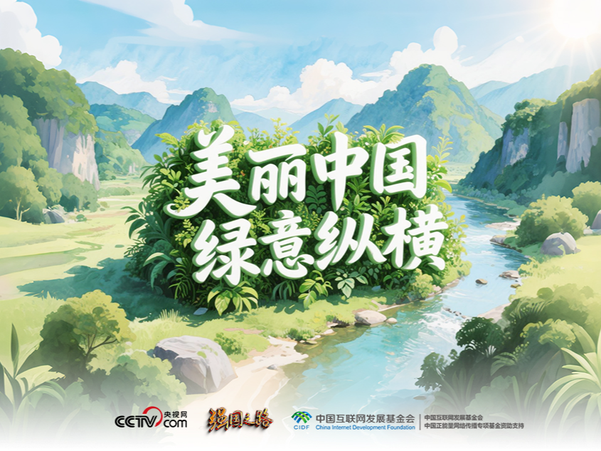 强国之路｜美丽中国 绿意纵横 