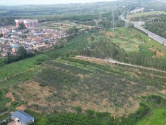 山西泽州：三色“致富果”甜透百姓心