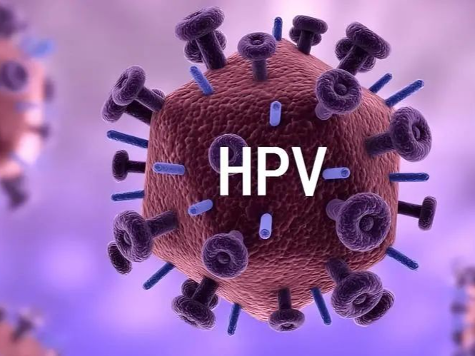 专家科普｜男生打HPV疫苗是交智商税？ 