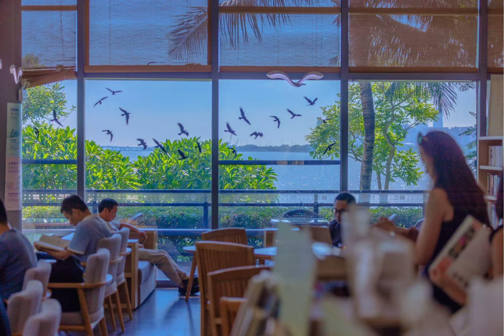 开放共享公园绿地  赋能宜居宜游新体验  深圳用生态软实力筑牢营商环境硬支撑