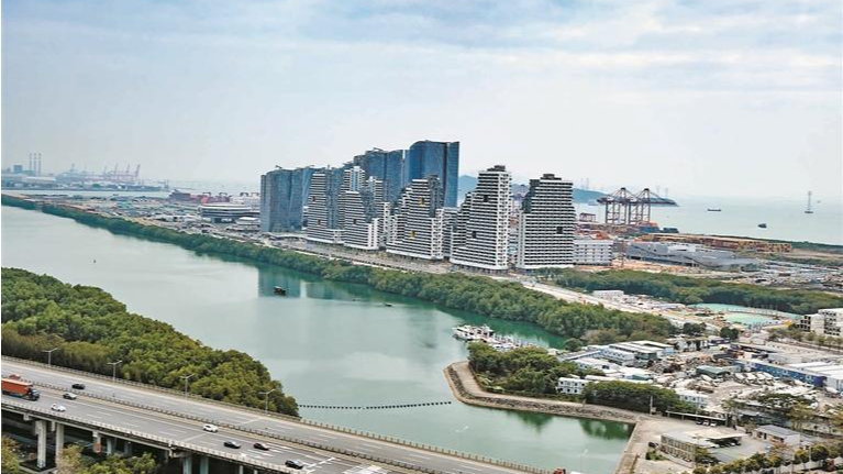 活力西乡，产业向新！解码西乡从滨海小镇到集群崛起的破茧之路 | 百千万工程