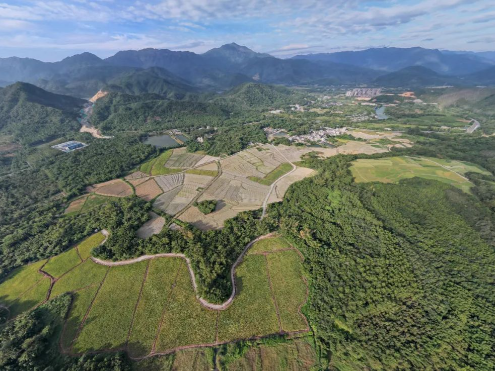 建设用地总量将节约出3公顷！全市首个省级全域土地整治方案花落深汕
