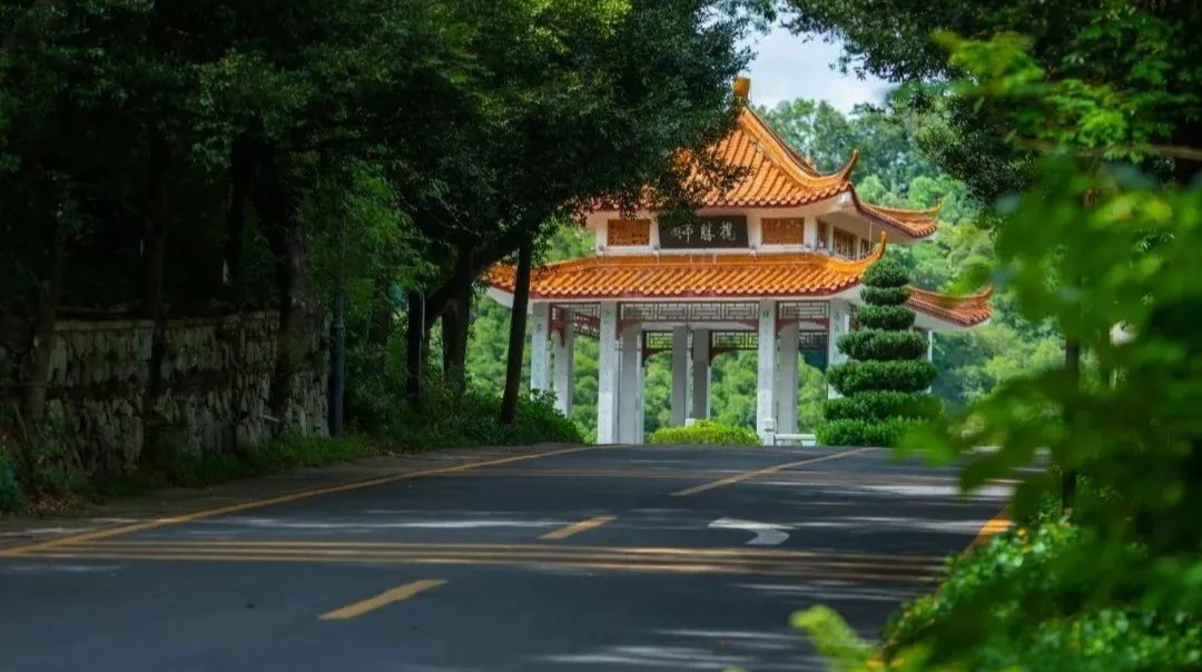 深圳新增2条“文旅专线”！带你一线打卡地标！