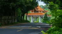 深圳新增2条“文旅专线”！带你一线打卡地标！