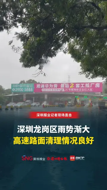 深圳龙岗区雨势渐大 高速路面清理情况良好