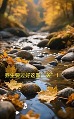 秀我中国｜AI科普：处暑天凉秋意染，养生过好这四“关”！