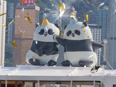 在香港 大熊猫生日怎么过？