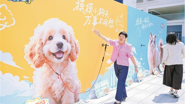 光明区首个宠物文旅商业综合体项目启动