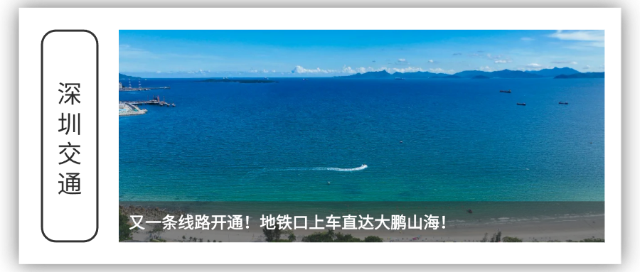 往期回顾(2).png