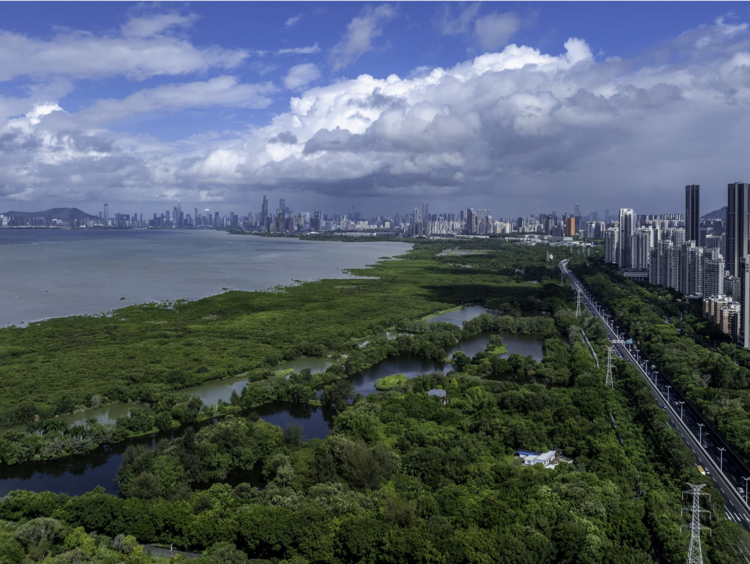 深圳跑出超千亿农企，龙头数量全国霸榜
