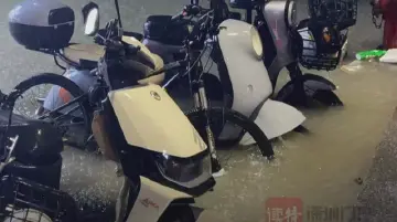 直击南山暴雨夜：白石洲积水漫膝，环卫凌晨清淤保排水