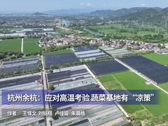 杭州余杭：应对高温考验 蔬菜基地有“凉策”