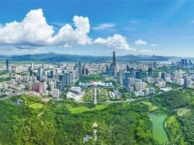深圳一周丨各区书记区长在忙啥？（8月4日-8月10日）