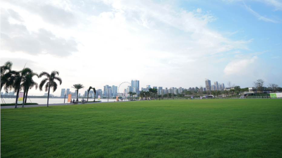 前海有沙滩了！270°海景+荧光跑道太绝了～