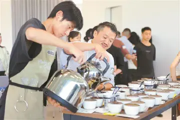 光明：不仅有科学城，还有咖啡香