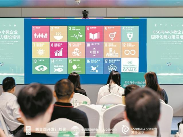龙华国际合作中心：拓展国际合作新路径，绘就对外开放新图景