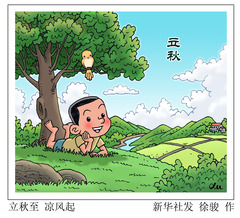 （图表·漫画）二十四节气·立秋丨立秋至 凉风起