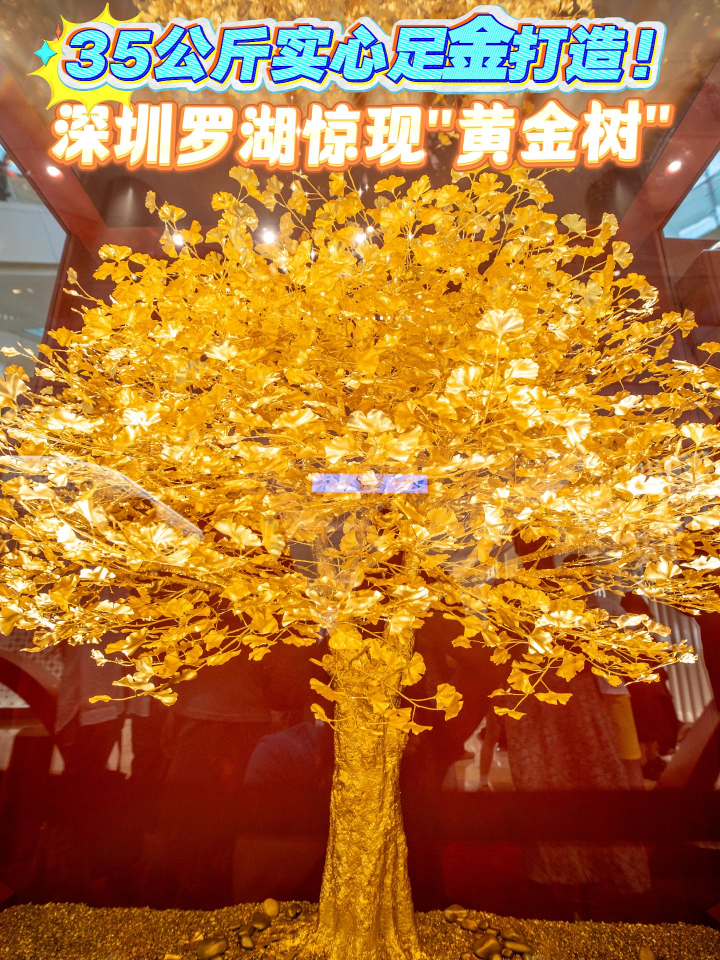 35公斤实心足金打造！深圳罗湖惊现黄金树