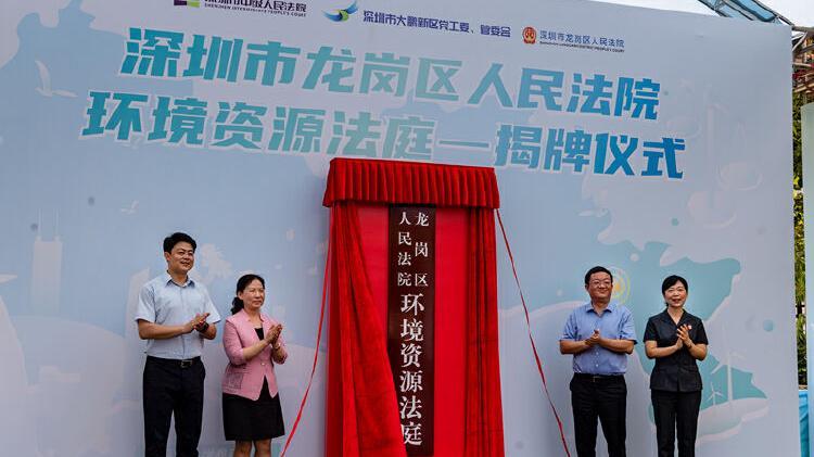 龙岗法院大鹏法庭：五年司法护航，绘就生态保护新画卷
