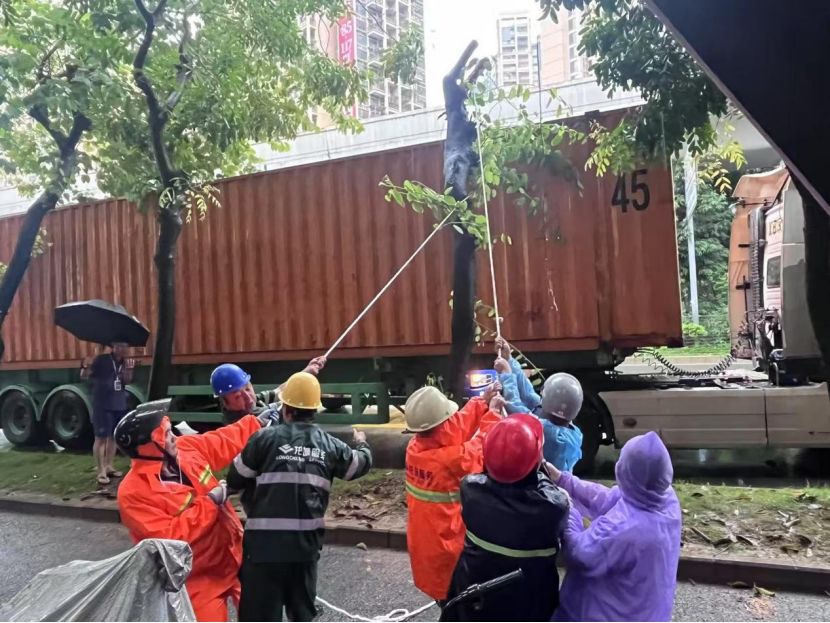 半小时清障！园山保安社区高效排除暴雨倒树隐患