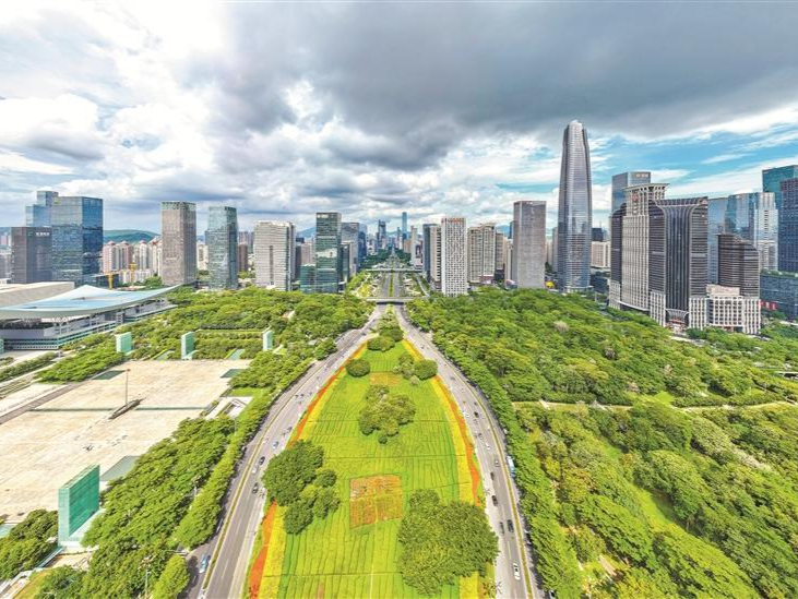 晶报特别报道 | 深南大道：一条路与一座城的共生史