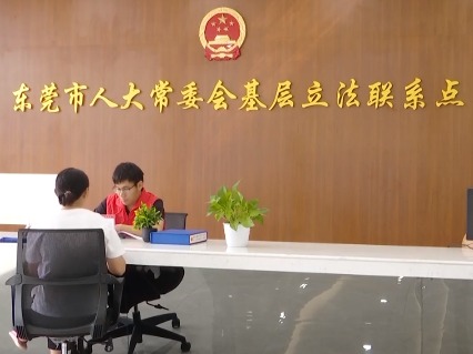 东莞接好下放的地方立法权，制定修改19部“莞味”法规