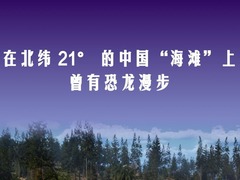 在北纬 21°的中国“海滩”上，曾有恐龙漫步