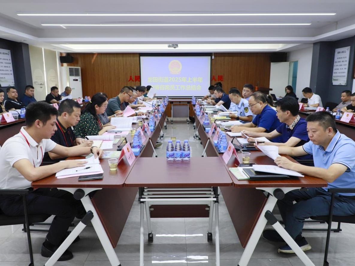 人大龙田街道工委召开政情咨询员工作总结会