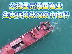 公报显示我国渔业生态环境状况稳中向好