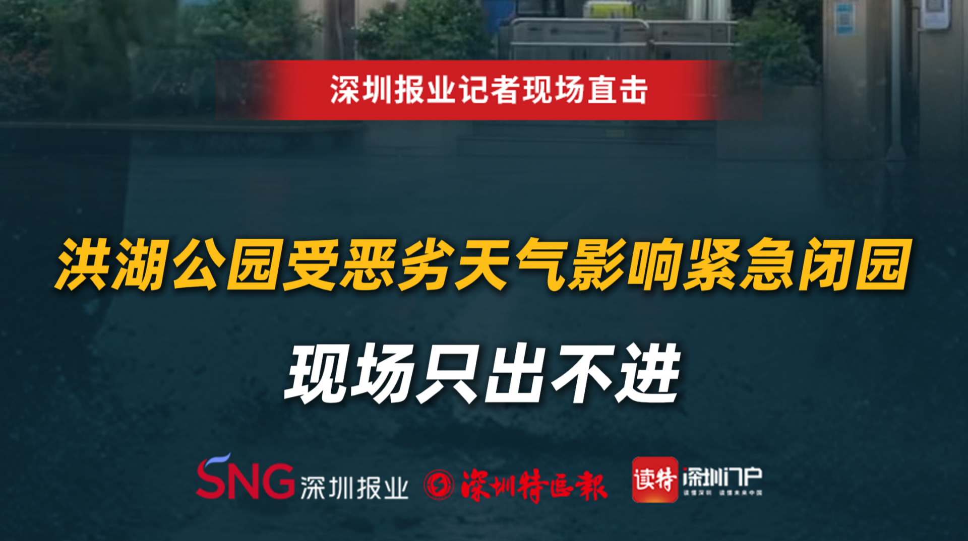 洪湖公园受恶劣天气影响紧急闭园，现场只出不进