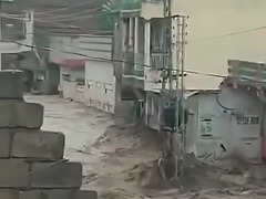 巴基斯坦洪灾已致313人死亡