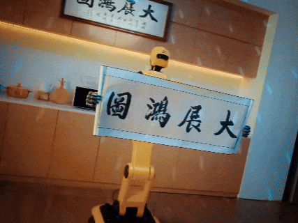 外交部发言人海外转发！深圳机器人“组团”跳舞带火深圳造