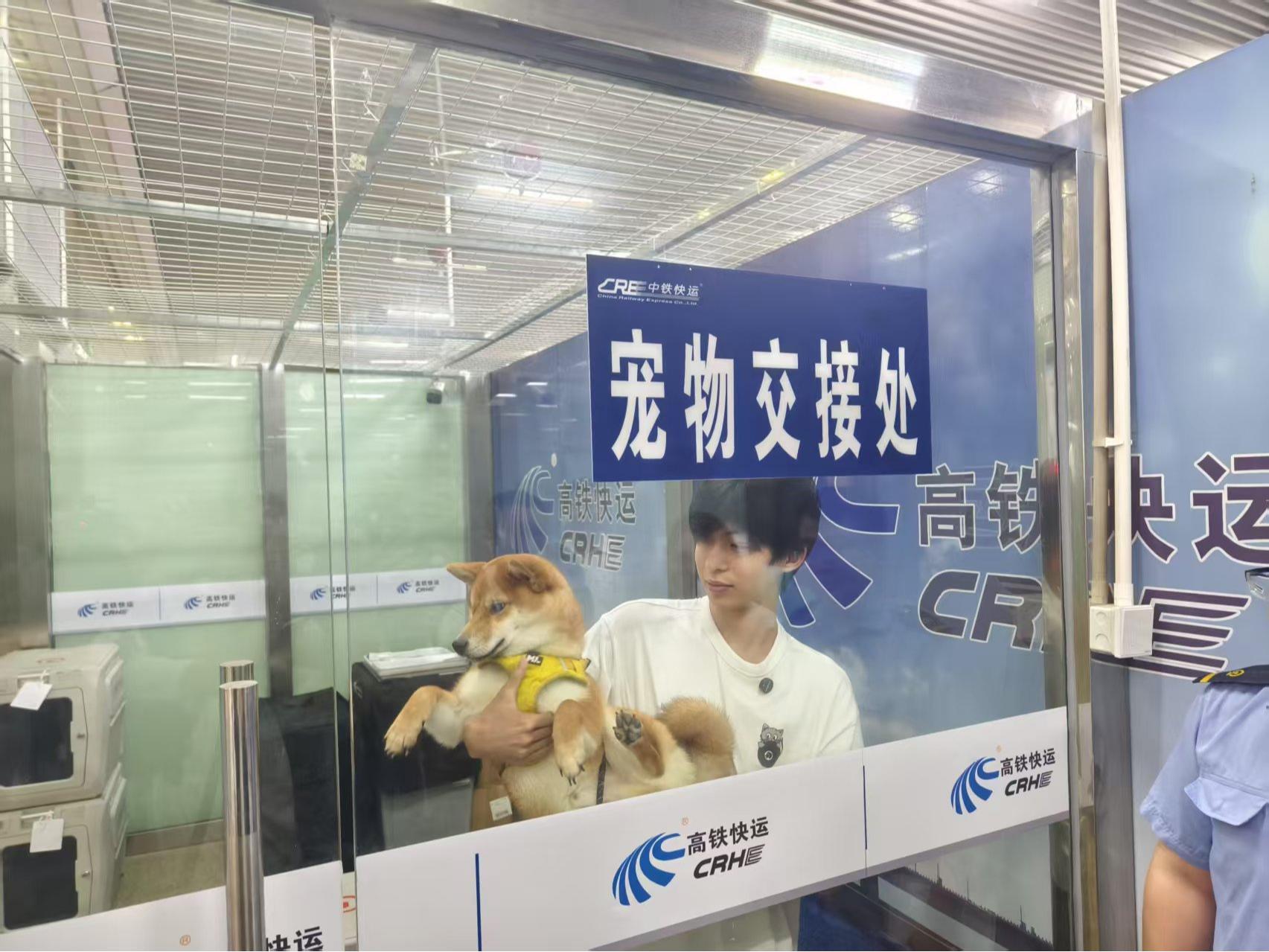 暑运过半，广深游客大量涌入北京上海成都