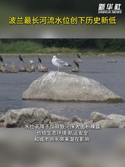 波兰最长河流水位创下历史新低