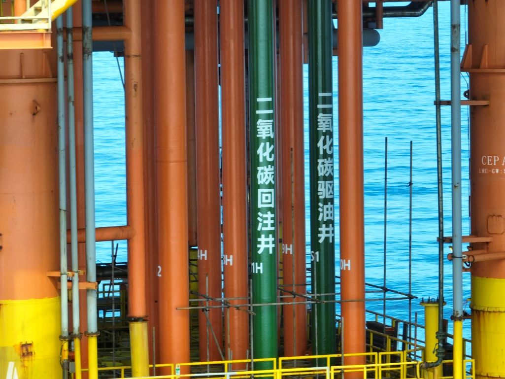 育儿灵感助攻世界级难题：深圳海洋科研团队以生活智慧点亮科技之光