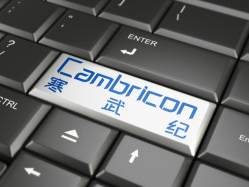寒武纪：网传公司在某厂商预定大量载板订单等均为误导市场的不实信息
