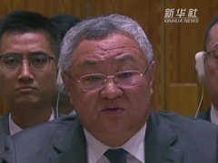中国代表强调必须坚决反对以色列占领加沙的企图