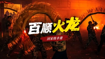 粤来粤好百千万 | 百顺火龙